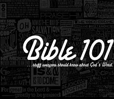 intermediate Childrens & Teens Bible Reading Plan