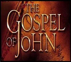 Gospel of John Study Guide